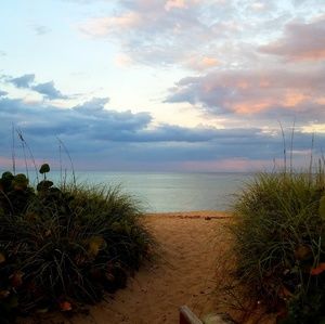 Meet your Posher, Dalene